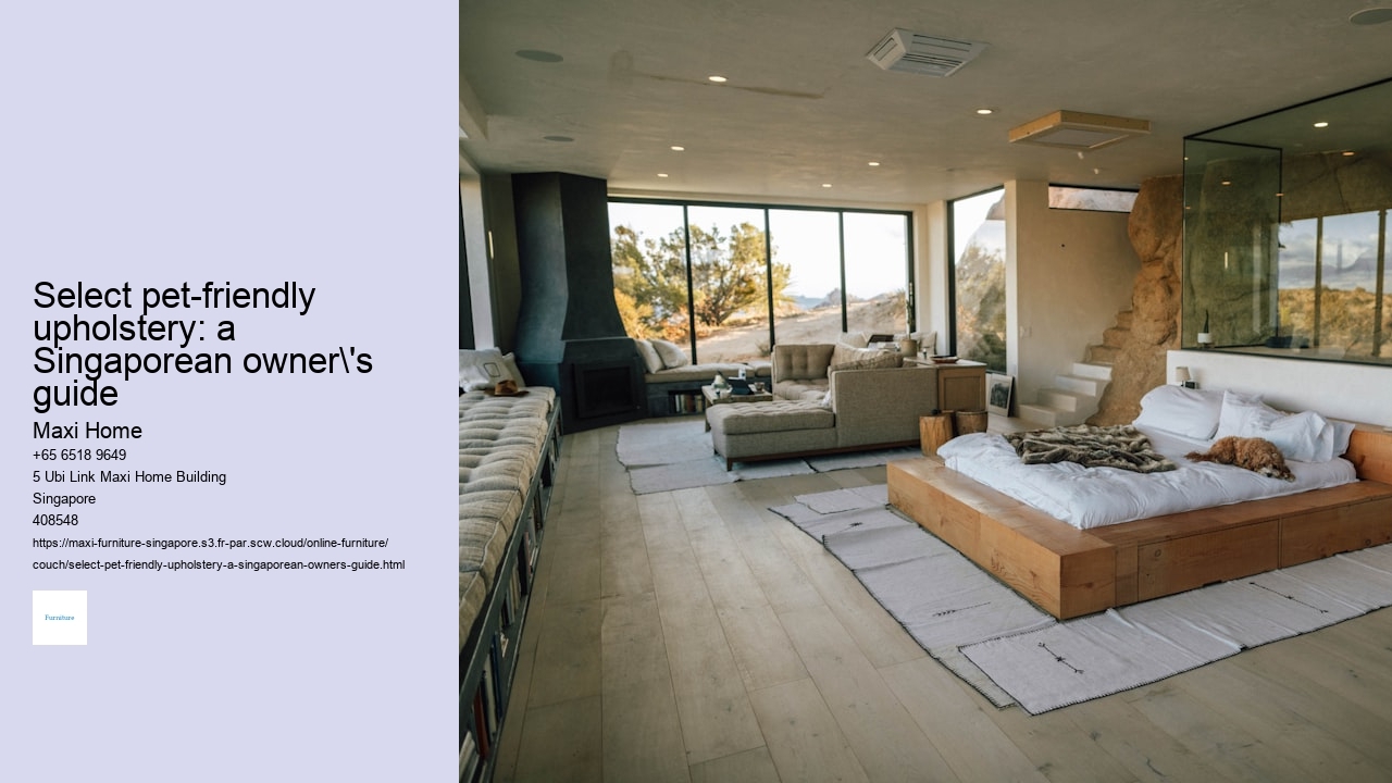 Select pet-friendly upholstery: a Singaporean owner's guide