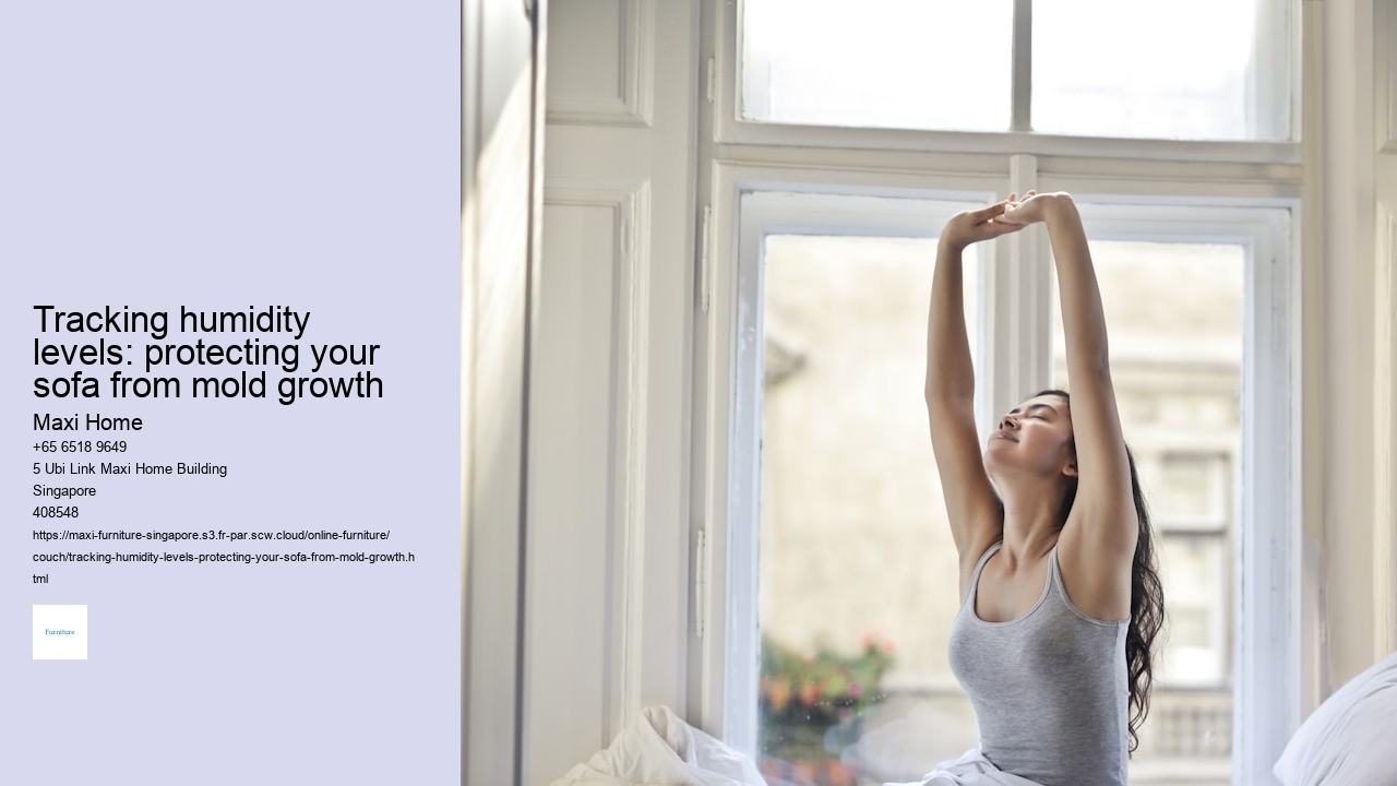 Tracking humidity levels: protecting your sofa from mold growth