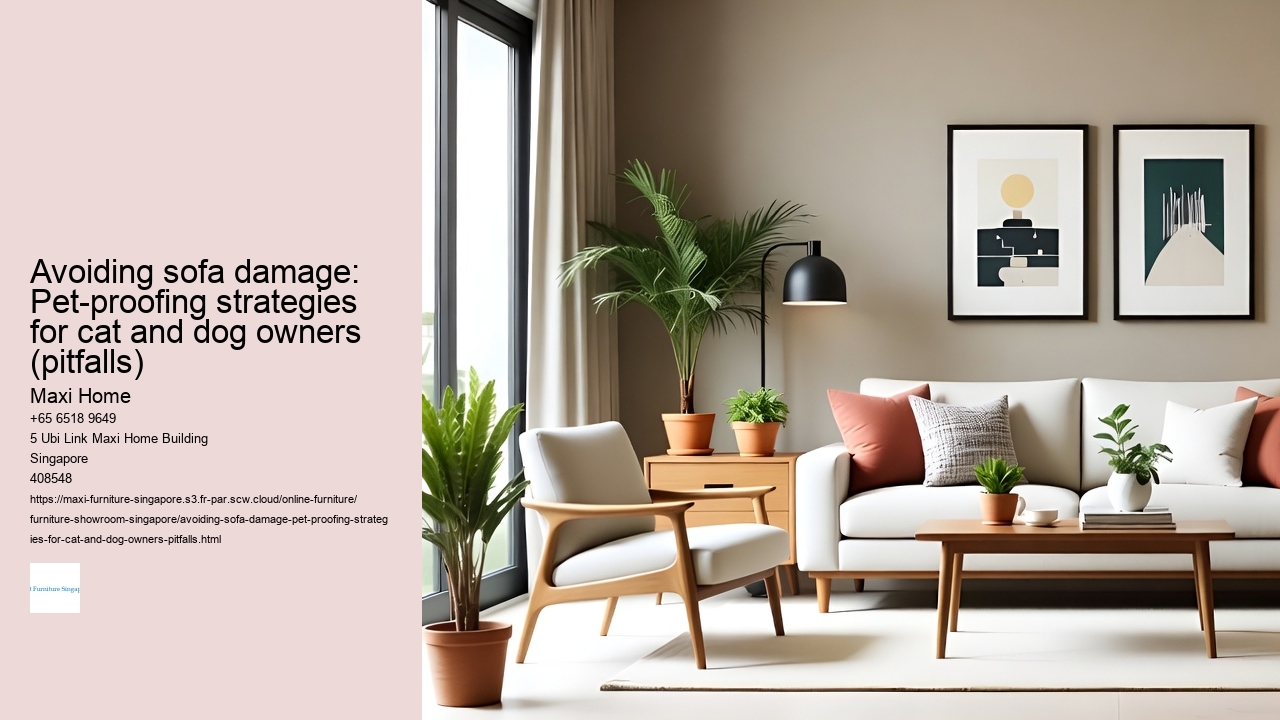 Avoiding sofa damage: Pet-proofing strategies for cat and dog owners (pitfalls)